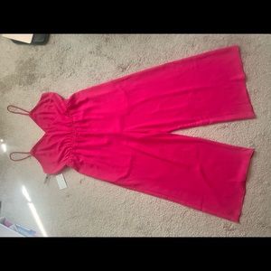 Aritzia Wilfred Pink Jumpsuit